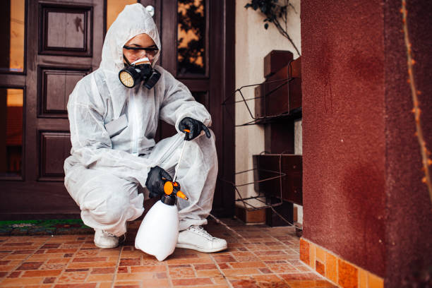 Attic and Crawl Space Rodent Treatment in Islamorada Village of Islands